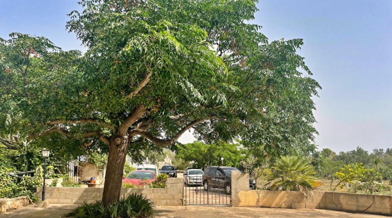 Tarragona - Xerta - 12784m2