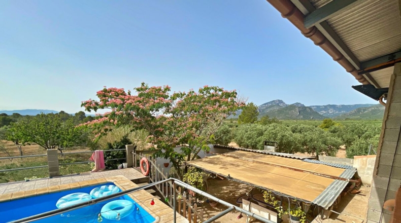 Tarragona - Xerta - 12784m2