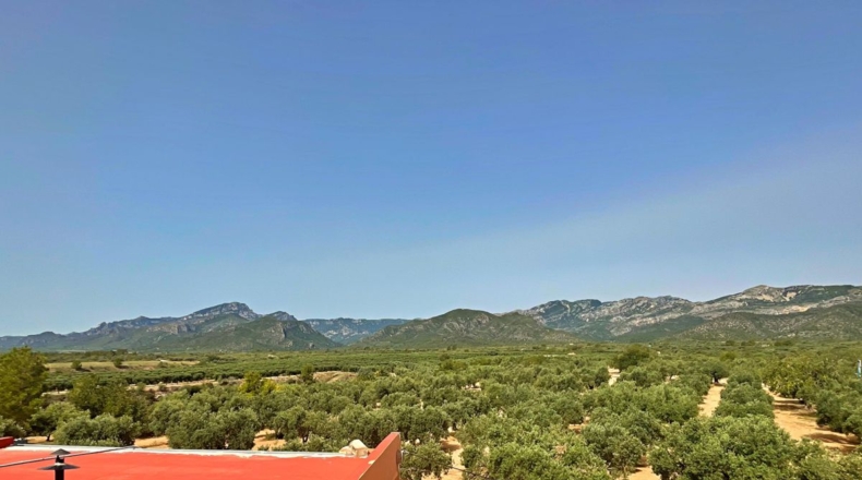 Tarragona - Xerta - 12784m2