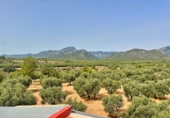 Xalet independent amb terreny en venda a Xerta ref.: TR188134 foto