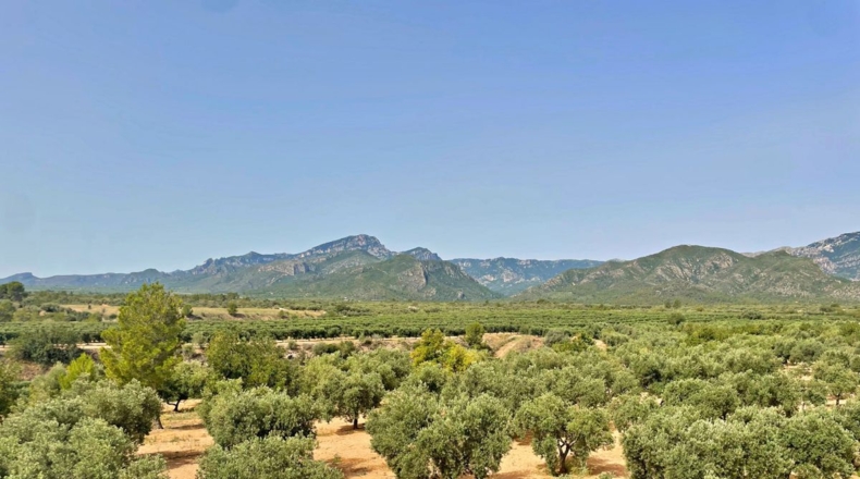 Tarragona - Xerta - 12784m2
