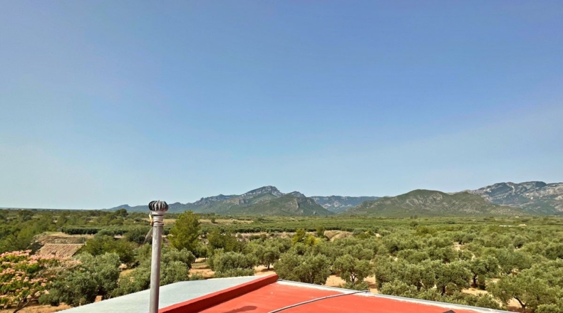 Tarragona - Xerta - 12784m2