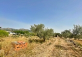 Xalet independent amb terreny en venda a Xerta ref.: TR188134 foto