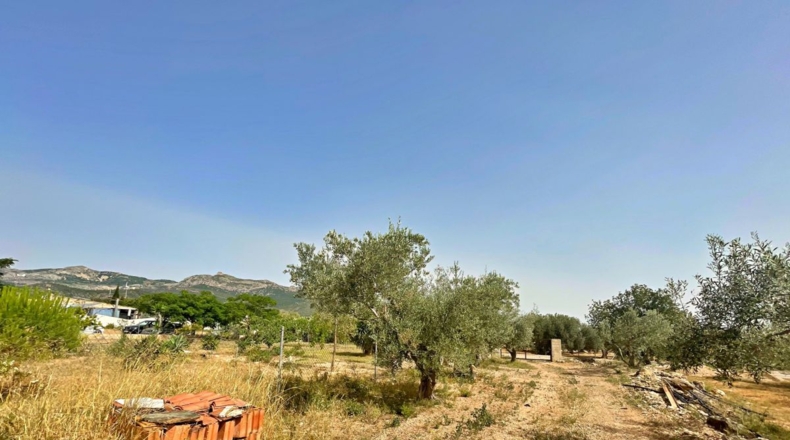 Tarragona - Xerta - 12784m2