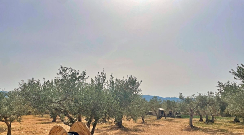 Tarragona - Xerta - 12784m2