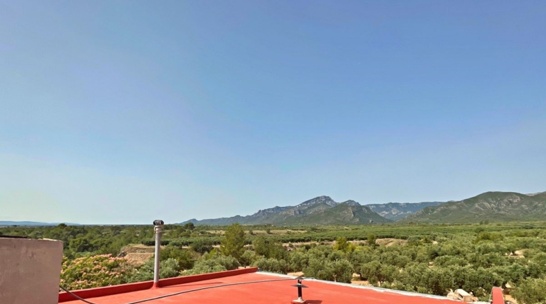 Tarragona - Xerta - 12784m2