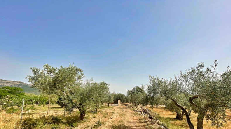 Tarragona - Xerta - 12784m2