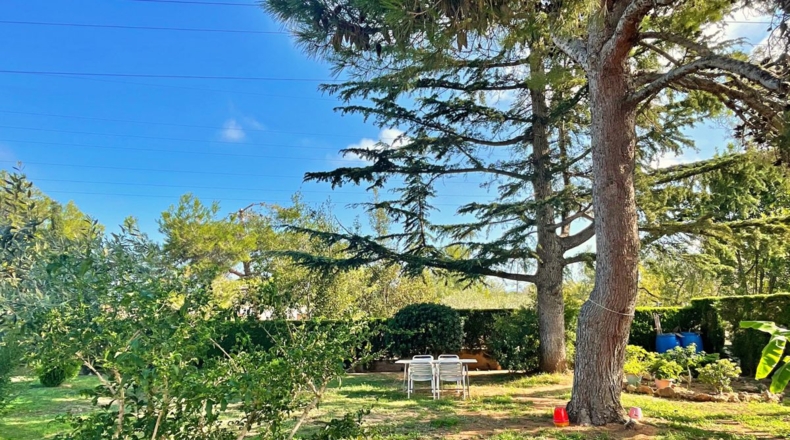 Tarragona - Tortosa - 890m2