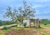 Country house with land for sale in Santa Bàrbara ref: TR260473 photo