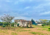 Country house with land for sale in Santa Bàrbara ref: TR260473 photo