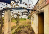 Country house with land for sale in Santa Bàrbara ref: TR260473 photo
