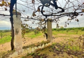 Country house with land for sale in Santa Bàrbara ref: TR260473 photo