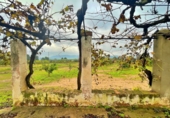 Country house with land for sale in Santa Bàrbara ref: TR260473 photo