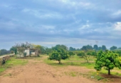 Country house with land for sale in Santa Bàrbara ref: TR260473 photo
