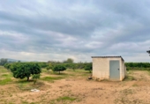 Country house with land for sale in Santa Bàrbara ref: TR260473 photo