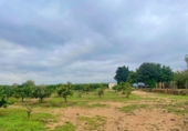 Country house with land for sale in Santa Bàrbara ref: TR260473 photo