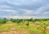 Country house with land for sale in Santa Bàrbara ref: TR260473 photo