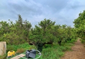 Non-developable land for sale in Tortosa ref: TR204614 photo
