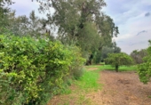 Non-developable land for sale in Tortosa ref: TR204614 photo