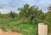 Non-developable land for sale in Tortosa ref: TR204614 photo