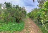 Non-developable land for sale in Tortosa ref: TR204614 photo