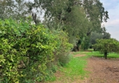 Non-developable land for sale in Tortosa ref: TR204614 photo