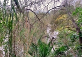 Non-developable land for sale in Tortosa ref: TR204614 photo