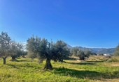 Casa de camp amb terreny en venda a Tortosa ref.: TR276848 foto