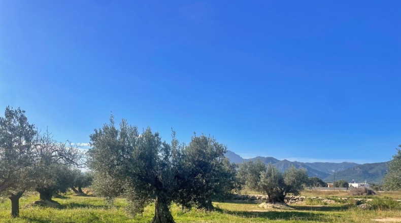 Tarragona - Tortosa - 60m2
