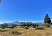 Casa de camp amb terreny en venda a Tortosa ref.: TR276848 foto
