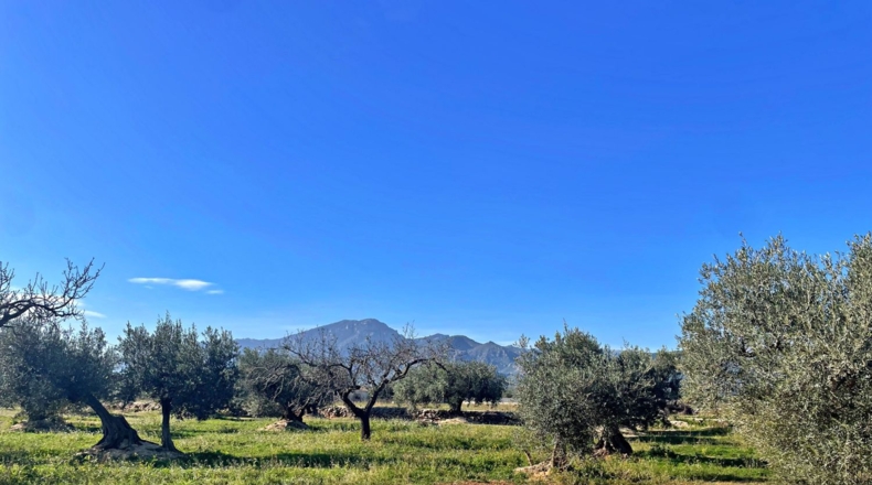 Tarragona - Tortosa - 60m2