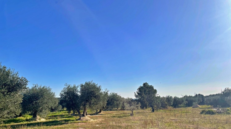 Tarragona - Tortosa - 60m2