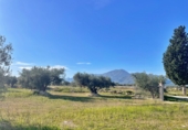 Casa de camp amb terreny en venda a Tortosa ref.: TR276848 foto