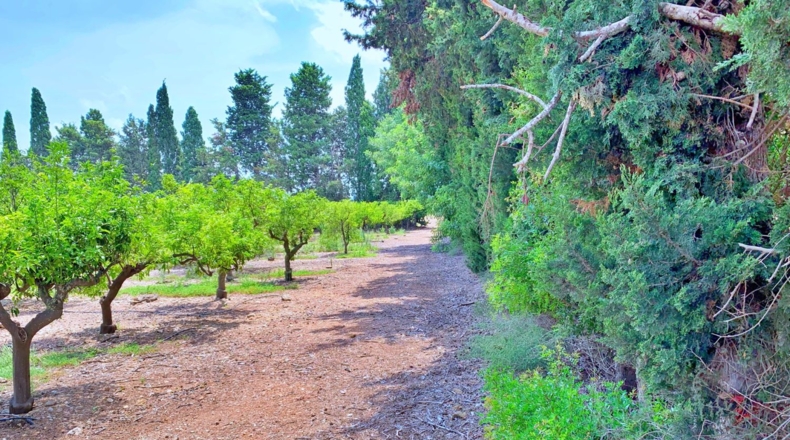Tarragona - Roquetes - 198000m2