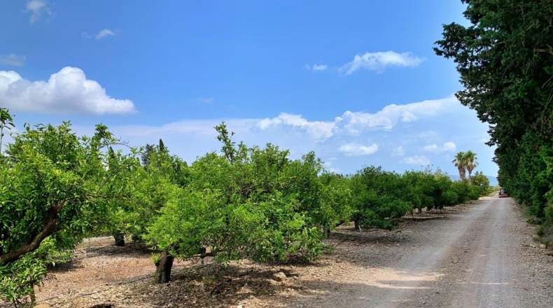 Tarragona - Roquetes - 198000m2