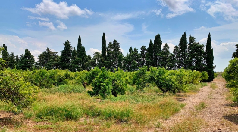 Tarragona - Roquetes - 198000m2