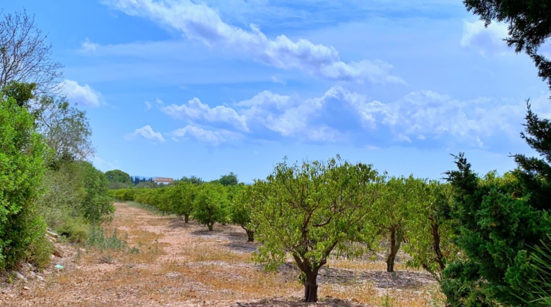 Tarragona - Roquetes - 198000m2