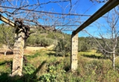 Finca rústica en venda a Tivenys ref.: TR232659 foto