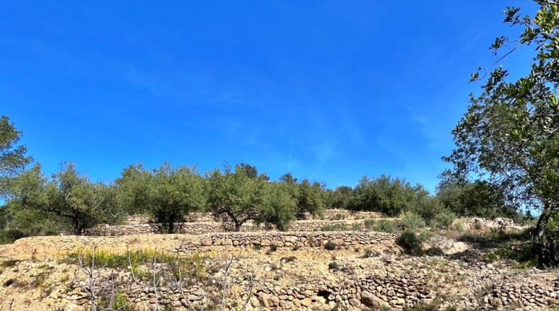 Tarragona - Тивенис - 5832m2