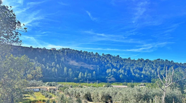 Tarragona - Тивенис - 5832m2