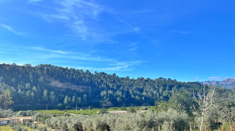 Tarragona - Тивенис - 5832m2