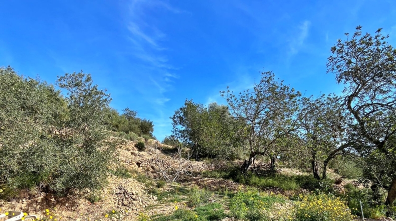 Tarragona - Тивенис - 5832m2