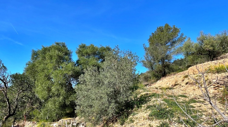 Tarragona - Тивенис - 5832m2