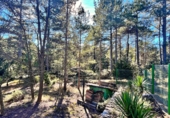 Xalet independent amb terreny en venda a Roquetes ref.: TR252788 foto