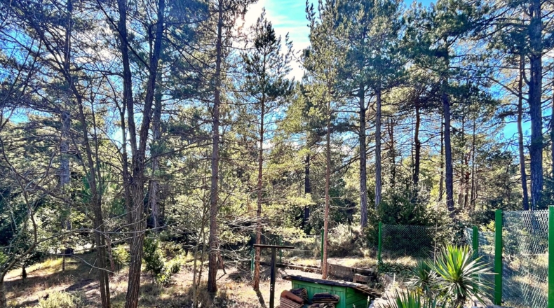 Tarragona - Roquetes - 4352m2