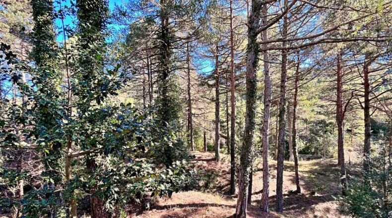 Tarragona - Roquetes - 4352m2