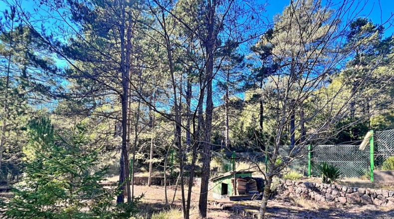 Tarragona - Roquetes - 4352m2
