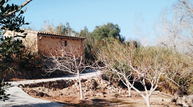 Tarragona - Xerta - 5590m2