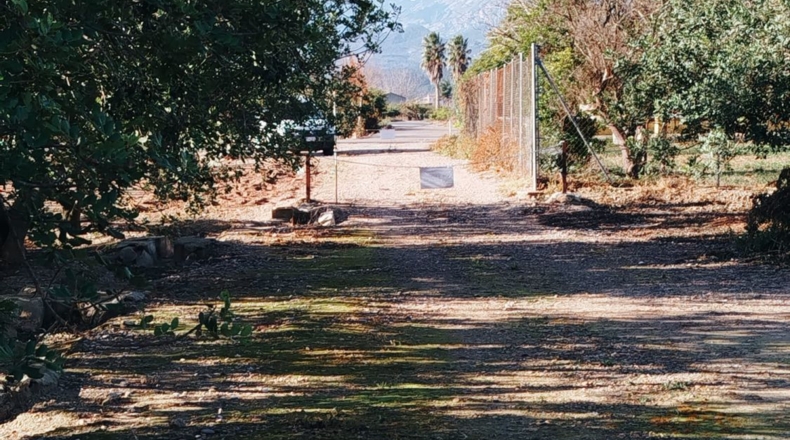 Tarragona - Xerta - 5590m2
