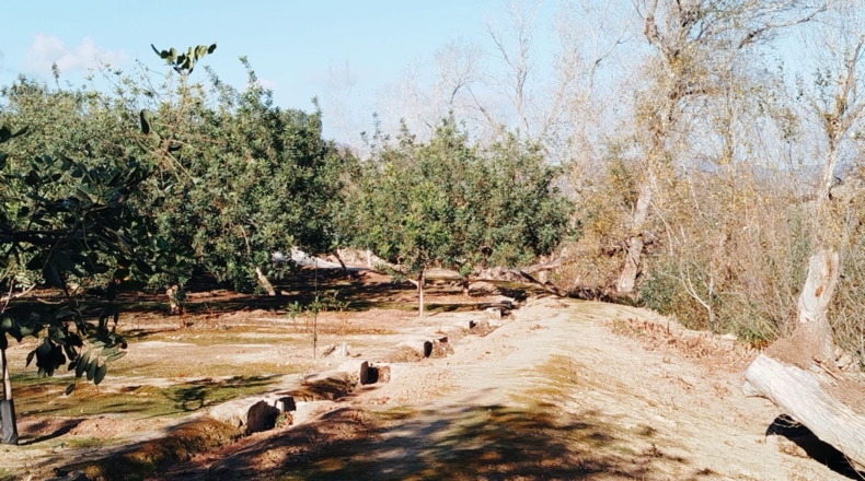 Tarragona - Xerta - 5590m2